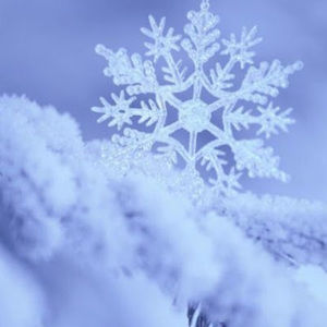 Meet your Posher, Snowfall